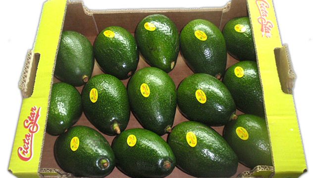 αβοκάντο μπέικον αβοκάντο μπέικον