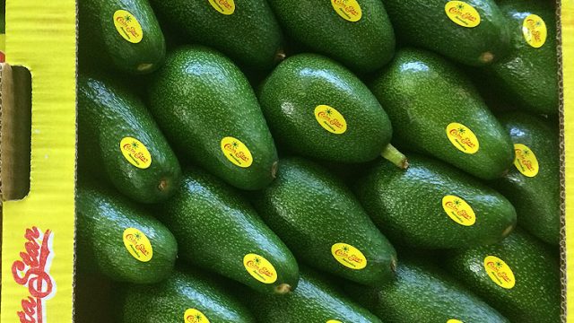 fuerte-conv fuerte-conv